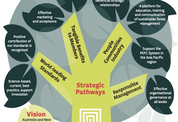 Strategic Pathways and Vision of Responsible Wood